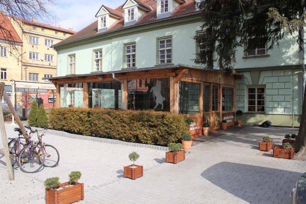 Zelena Ratolest Hotel Ceske Budejovice Eksteriør billede